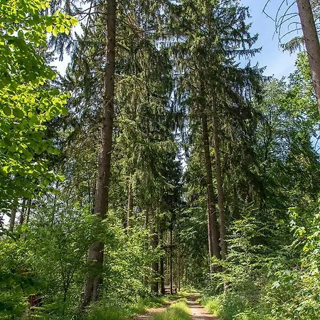 Bungis Ferien Direkt Am Grimnitzsee, Karree 12 Дом отдыха Иоахимсталь